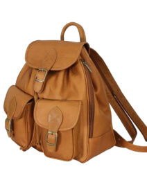 backpack-4006